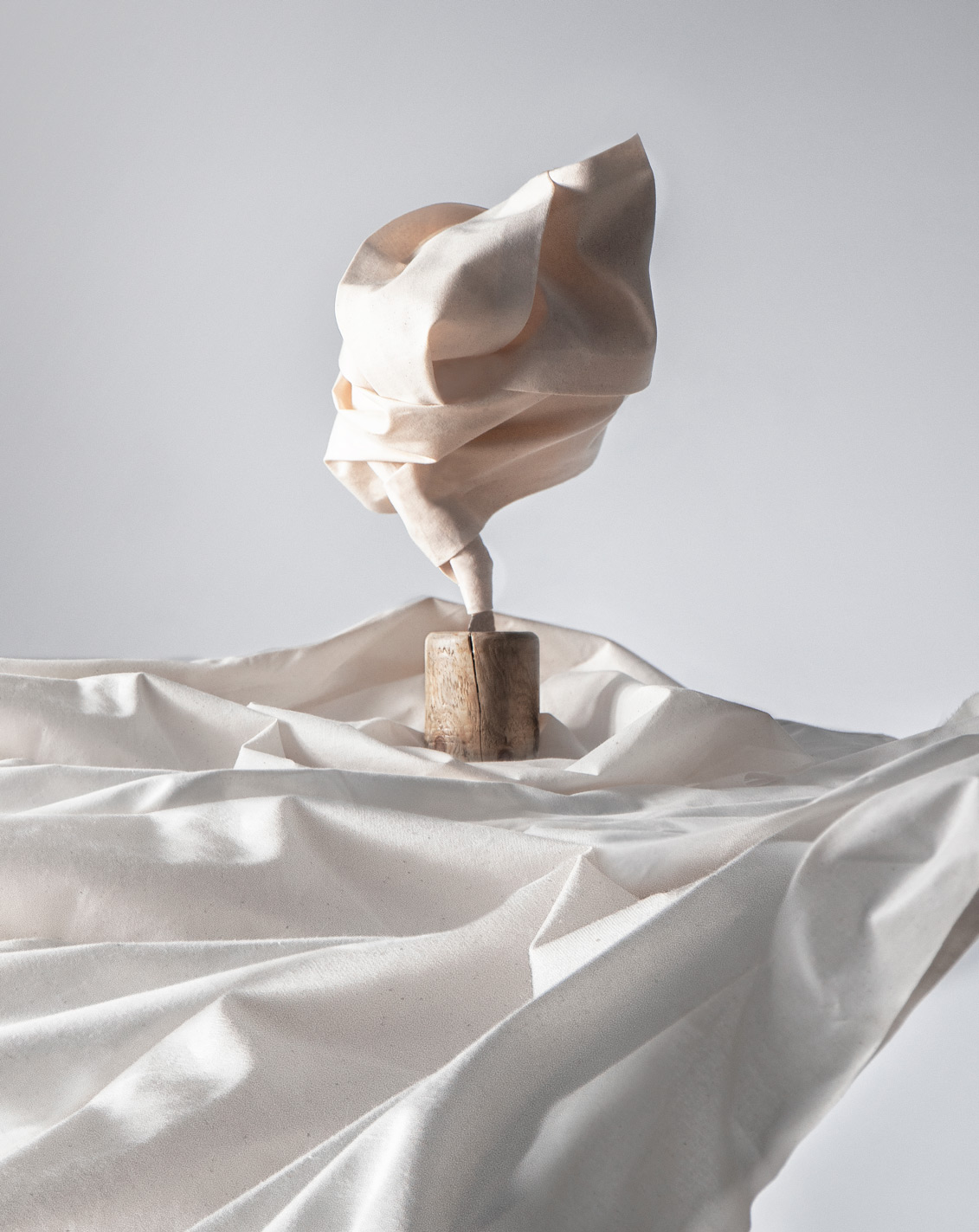 A fabric trophy design by Kyle Wilkinson Studio